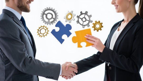 sap partner
